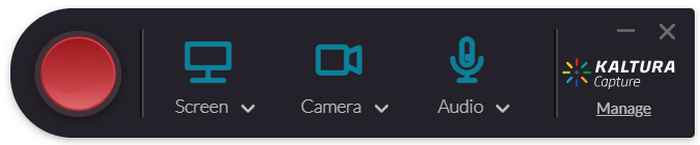 Multi-stream video opnemen